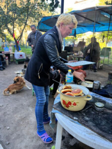 Ukraine woodstoves