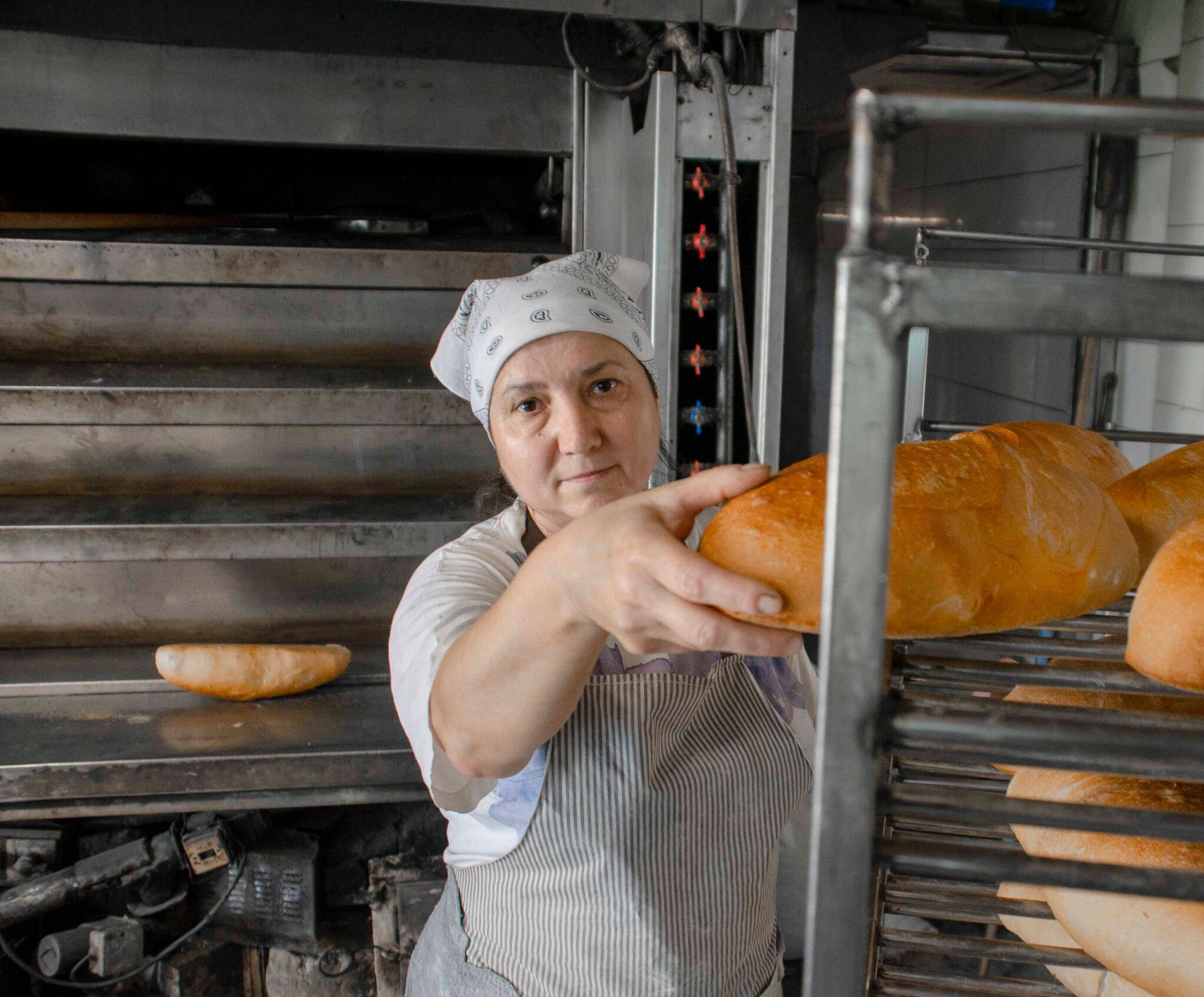 Bread of life bakery