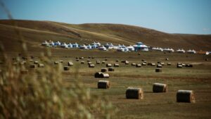 A wide view of a rolling green field in the Eurasian Steppe featuring several round hay bales in the foreground and a row of traditional white gers (yurts) tucked against the base of a large hill.